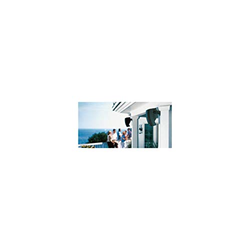 Bose ® Environmental Wall Mount Lautsprecher (1-Paar)