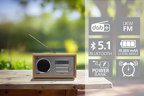 Imperial 22-130-00 Dabman 30 Digitalradio (DAB+/DAB/UKW, Aux In, inkl. Netzteil) braun