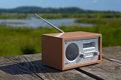 Imperial 22-130-00 Dabman 30 Digitalradio (DAB+/DAB/UKW, Aux In, inkl. Netzteil) braun