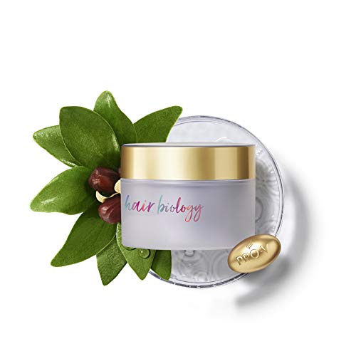 Hair Biology Haarmaske Silver & Glowing