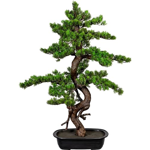 kaiserkraft | Bonsai Myrte | Höhe ca 850 mm | in Kunststoffschale