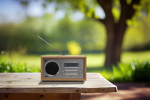 Imperial 22-130-00 Dabman 30 Digitalradio (DAB+/DAB/UKW, Aux In, inkl. Netzteil) braun