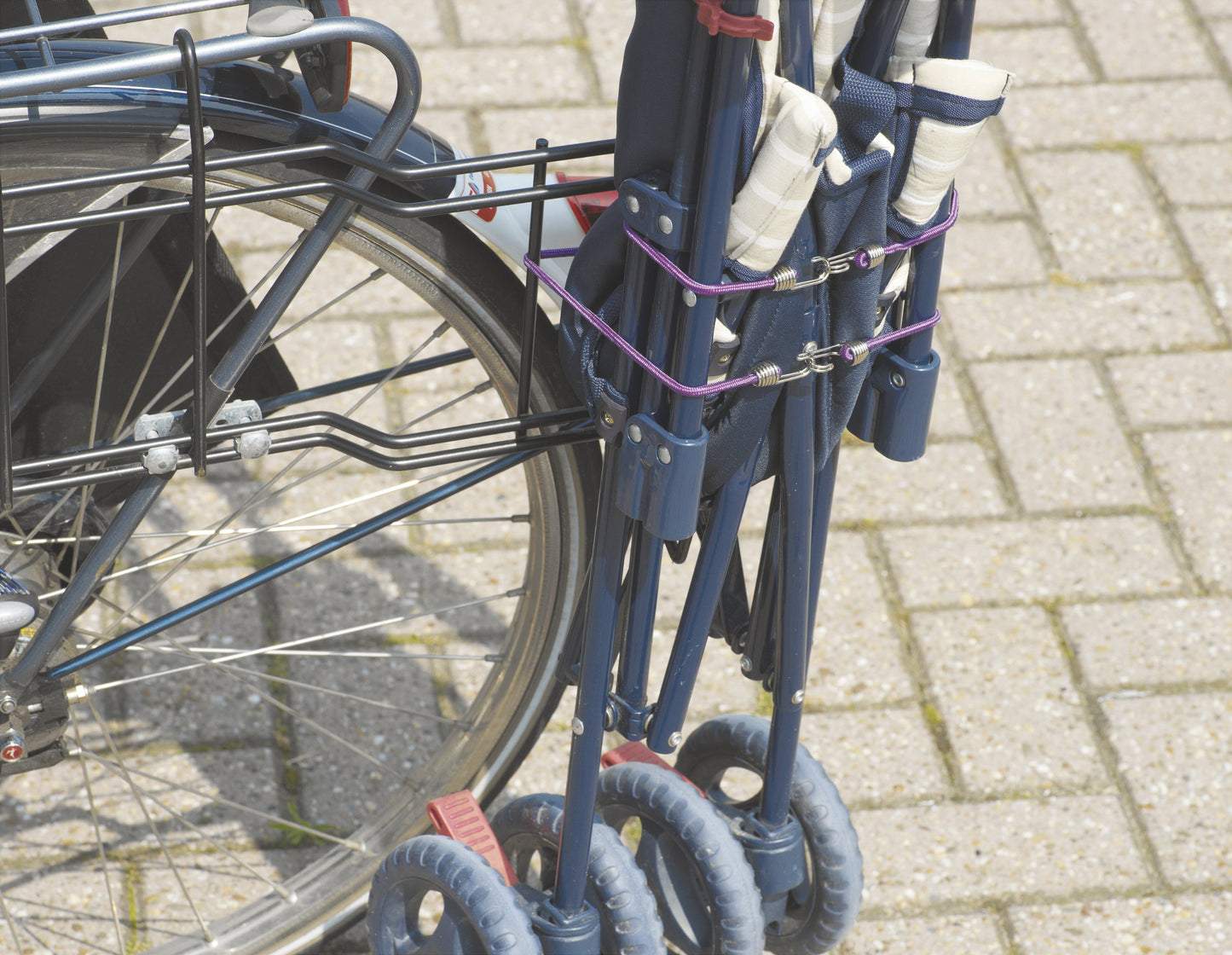 UNITEC Gepäckspanner Profi Mini Bungee, 25cm 4x