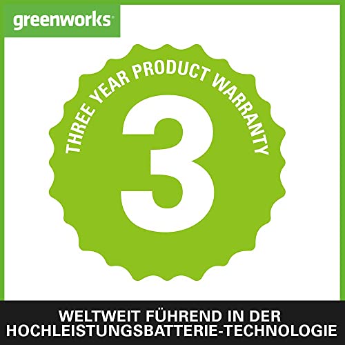 Greenworks G40CS30II Akku Kettensäge