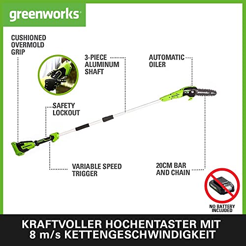 Greenworks G40CS30II Akku Kettensäge
