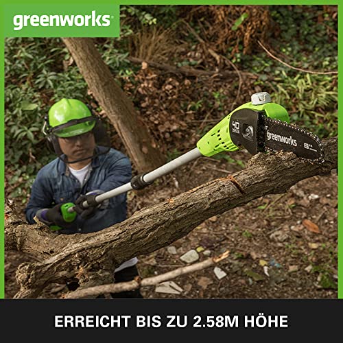 Greenworks G40CS30II Akku Kettensäge