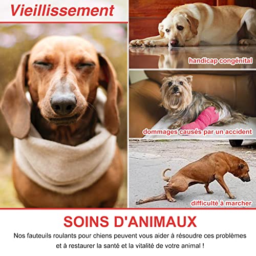 Anmas Power Rollstuhl für Hunde, verstellbar, Trolley für Hunde mit Behinderung