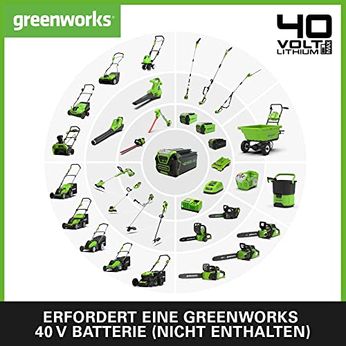 Greenworks G40CS30II Akku Kettensäge