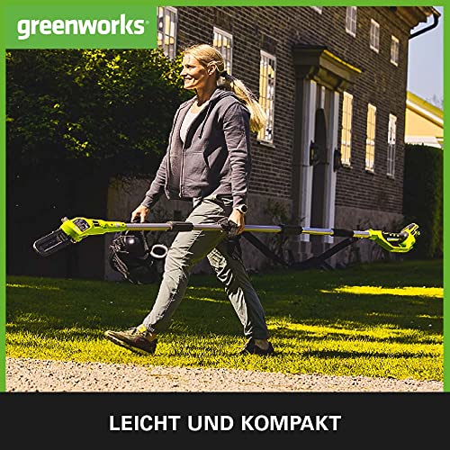Greenworks G40CS30II Akku Kettensäge