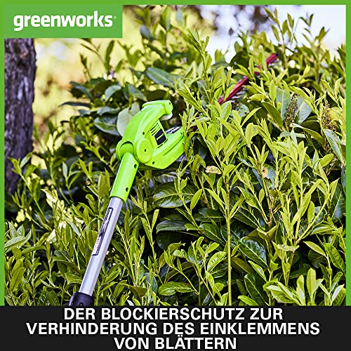 Greenworks Akku Langstiel-Heckenschere