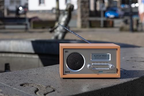 Imperial 22-130-00 Dabman 30 Digitalradio (DAB+/DAB/UKW, Aux In, inkl. Netzteil) braun