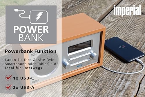 Imperial 22-130-00 Dabman 30 Digitalradio (DAB+/DAB/UKW, Aux In, inkl. Netzteil) braun