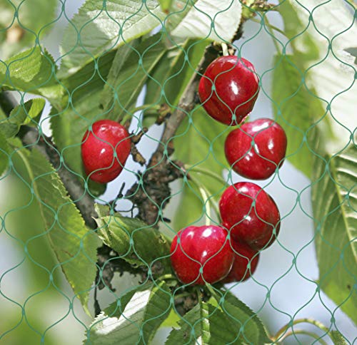 Vogelschutznetz 4x5 m, Vogelnetz Pflanzenschutz