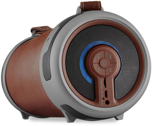 Imperial 22-9065-00 BEATSMAN 2 Mobiler Bluetooth 2.1 Lautsprecher mit UKW Radio (UKW Radio, MicroSD Kartenleser, AUX Eingang)