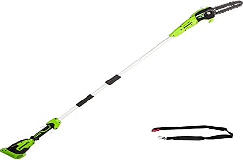 Greenworks G40CS30II Akku Kettensäge