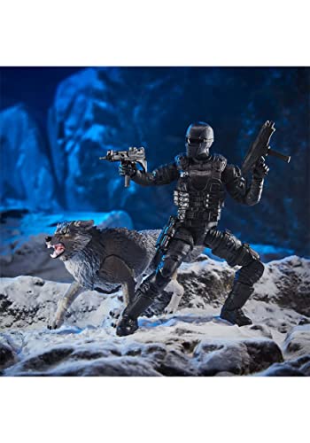G. I. Joe Joe Classified Series - Snake Eyes & Timber - Alpha Commando 30 - Premium-Sammelfiguren im Maßstab 15 cm in markanten Verpackungen, F07595L0