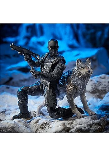 G. I. Joe Joe Classified Series - Snake Eyes & Timber - Alpha Commando 30 - Premium-Sammelfiguren im Maßstab 15 cm in markanten Verpackungen, F07595L0