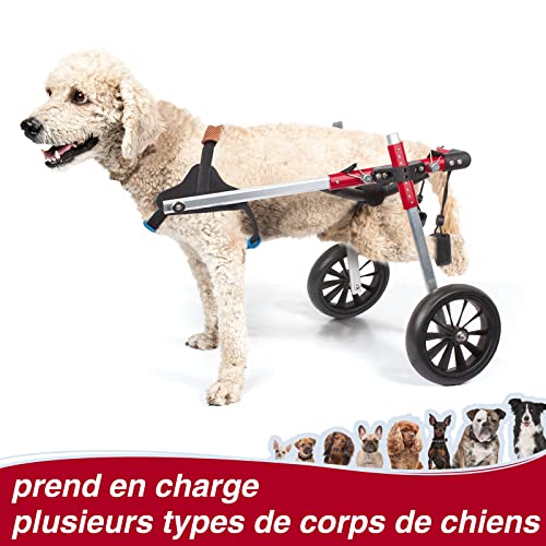 Anmas Power Rollstuhl für Hunde, verstellbar, Trolley für Hunde mit Behinderung