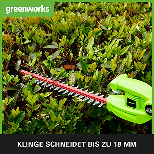 Greenworks Akku Langstiel-Heckenschere